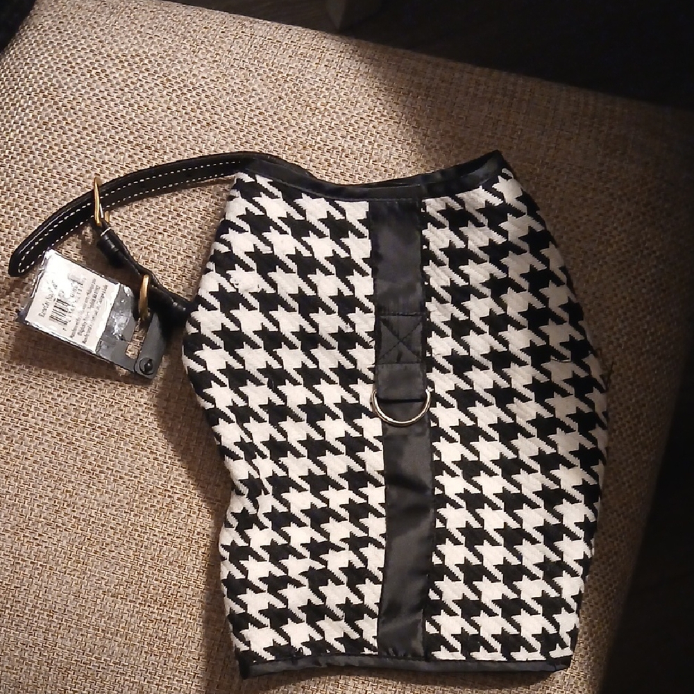 Zack & Zoey Dog Coat & Collar